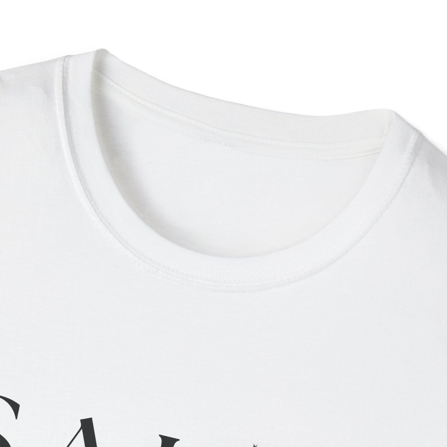 Salty T Matthew 5:13-16